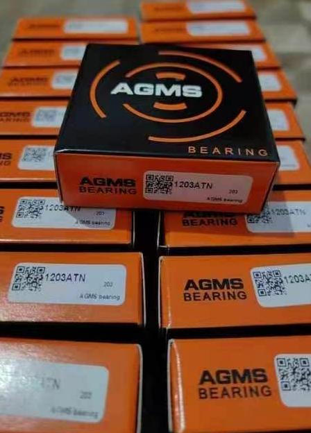 日本AGMS轴承